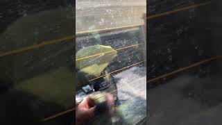 How To Remove Hard Water Spots on Automotive Glass the EASY Way! #automotive #detailing #hardwater