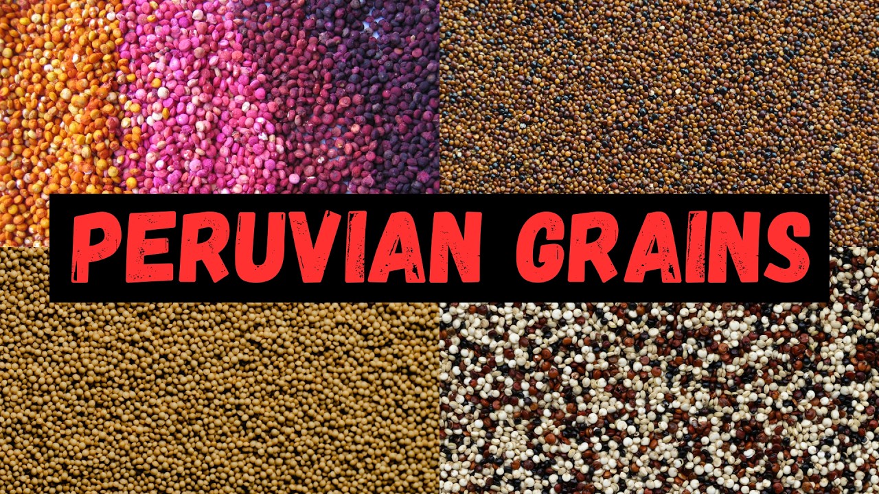 Quinoa and Its Wilder Cousins: The Forgotten Food of Empires