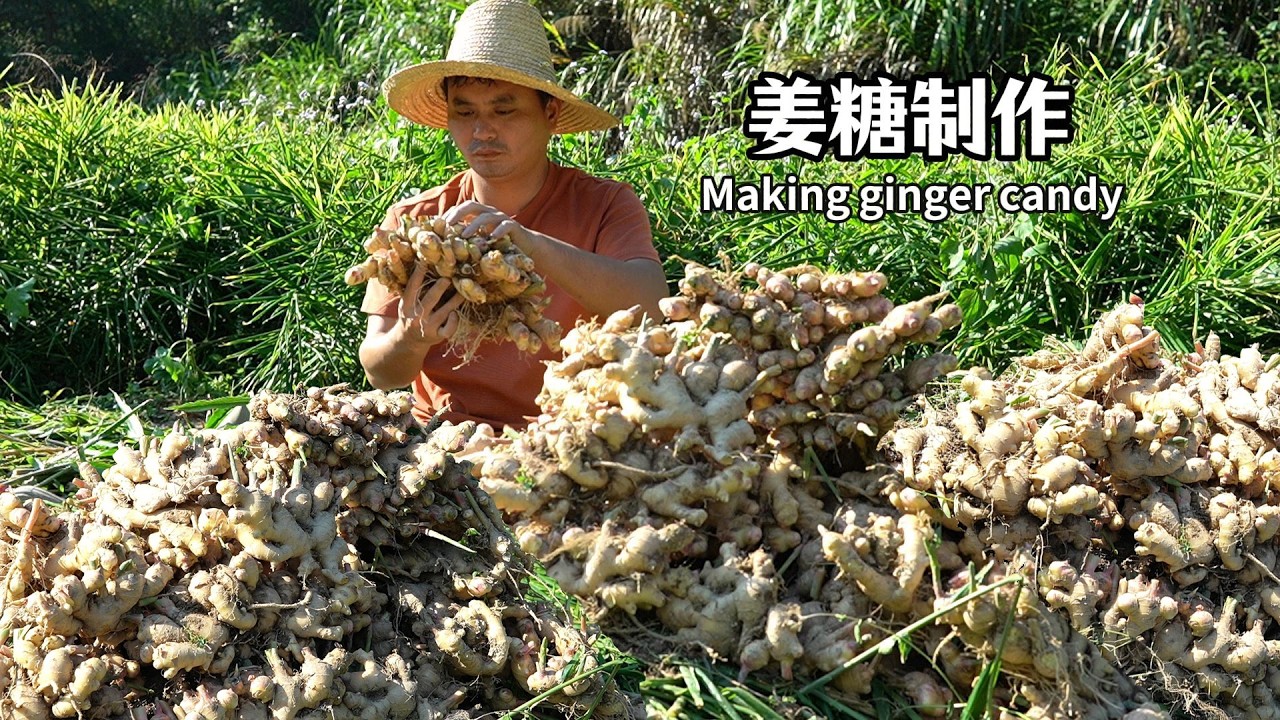 生姜大丰收的季节，我挖了七十斤的姜。用姜制作了3种不同的美食。姜糖，微辣甜口。姜酸片，清脆可口。汤圆甜甜糯糯。一起和家人们分享着美食。#中国美食 #cooking #传统文化 #美食 #姜糖 #汤圆