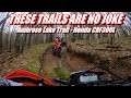 Riding St Helen&#39;s AMBROSE LAKE TRAIL! - Honda CRF300L