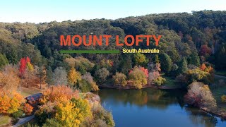 Beauty of Autumn in Mount Lofty Botanic Garden, South Australia (Drone) | Australia Travel Guide