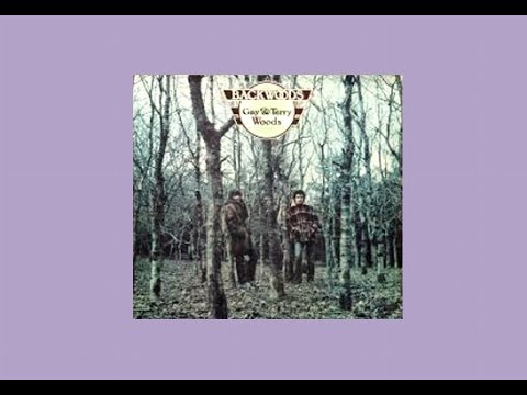 ☆ IRISH FOLK ROCK ☆ Gay & Terry Woods ( side-B ) ☆ Back Woods