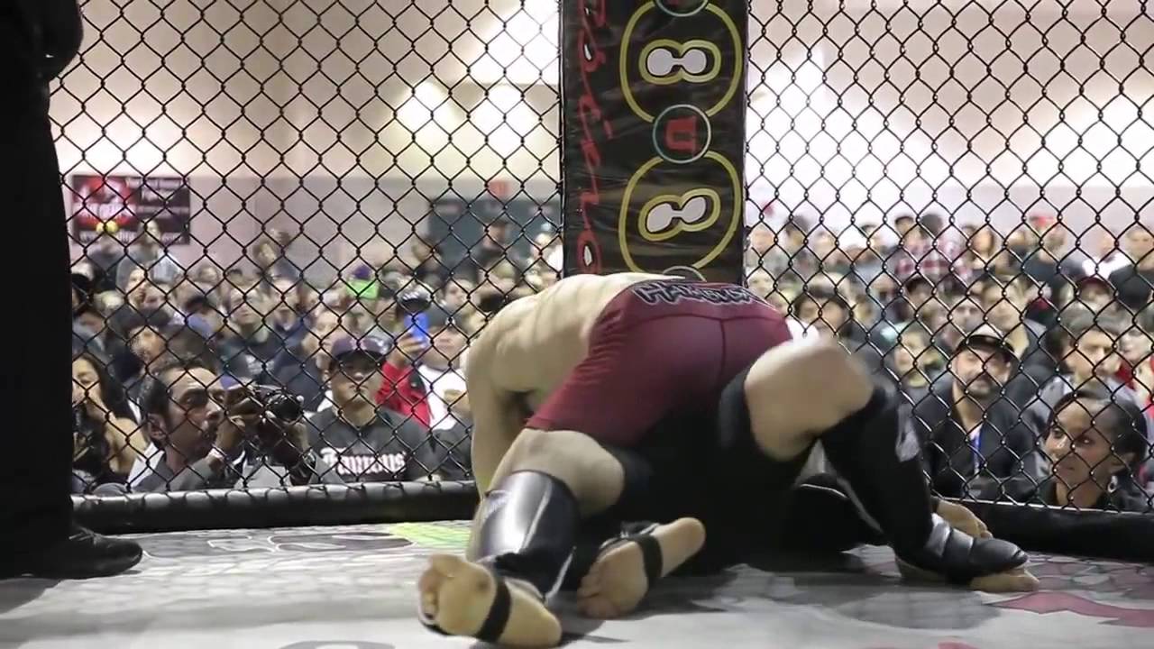 559 Fights #24 Steven Bolinger vs James Rodriguez