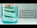 Silver tree  cuagno3  the real chemist