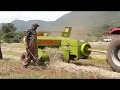 Boma rhodes hay production in kenya