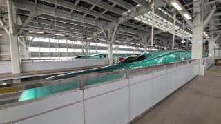 【北海道新幹線】3001B はやぶさ1号 E5系U5編成 新青森駅 発車シーン