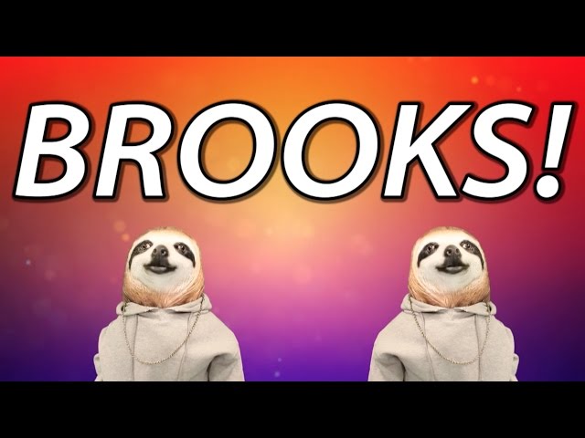HAPPY BIRTHDAY BROOKS! - SLOTH HAPPY BIRTHDAY RAP