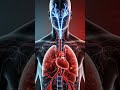 What Vaping Does to Your Body After One Night