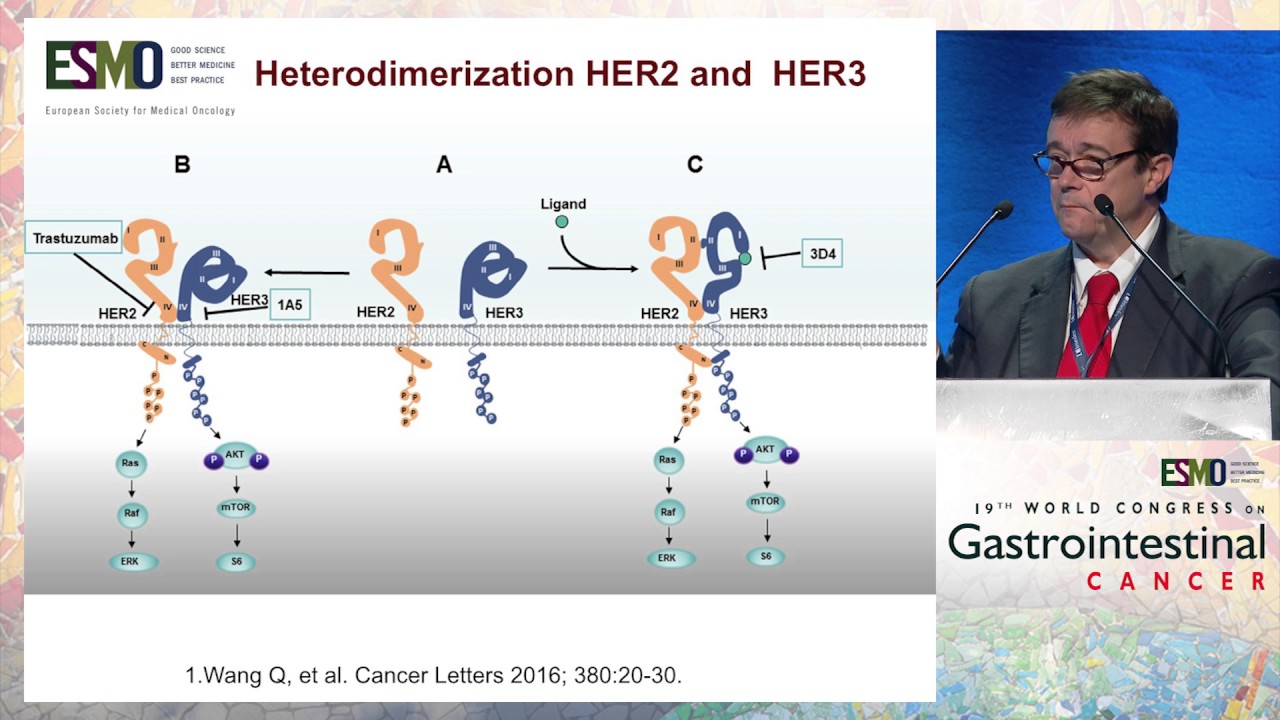 Metastatic gastric cancer: Indications and impact of targeting the HER2 ...