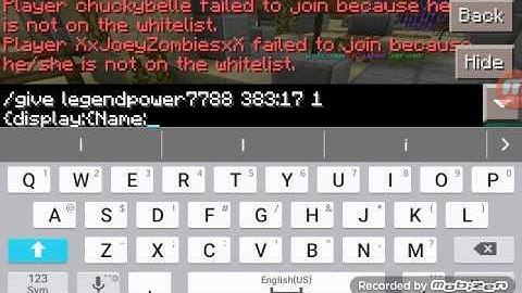 How to NameTag Villager in Leet server