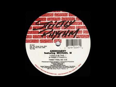 Androgeny — Androgeny feat Michael M- I Could Be This, I Could Be That (Transy Tribal Mix)