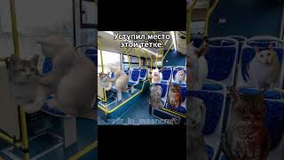 Я и моя не удачная поездка на автобусе.. #котейки  #мем