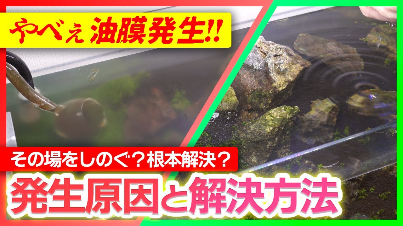 A dangerous oil film is generated! Cause of occurrence and 