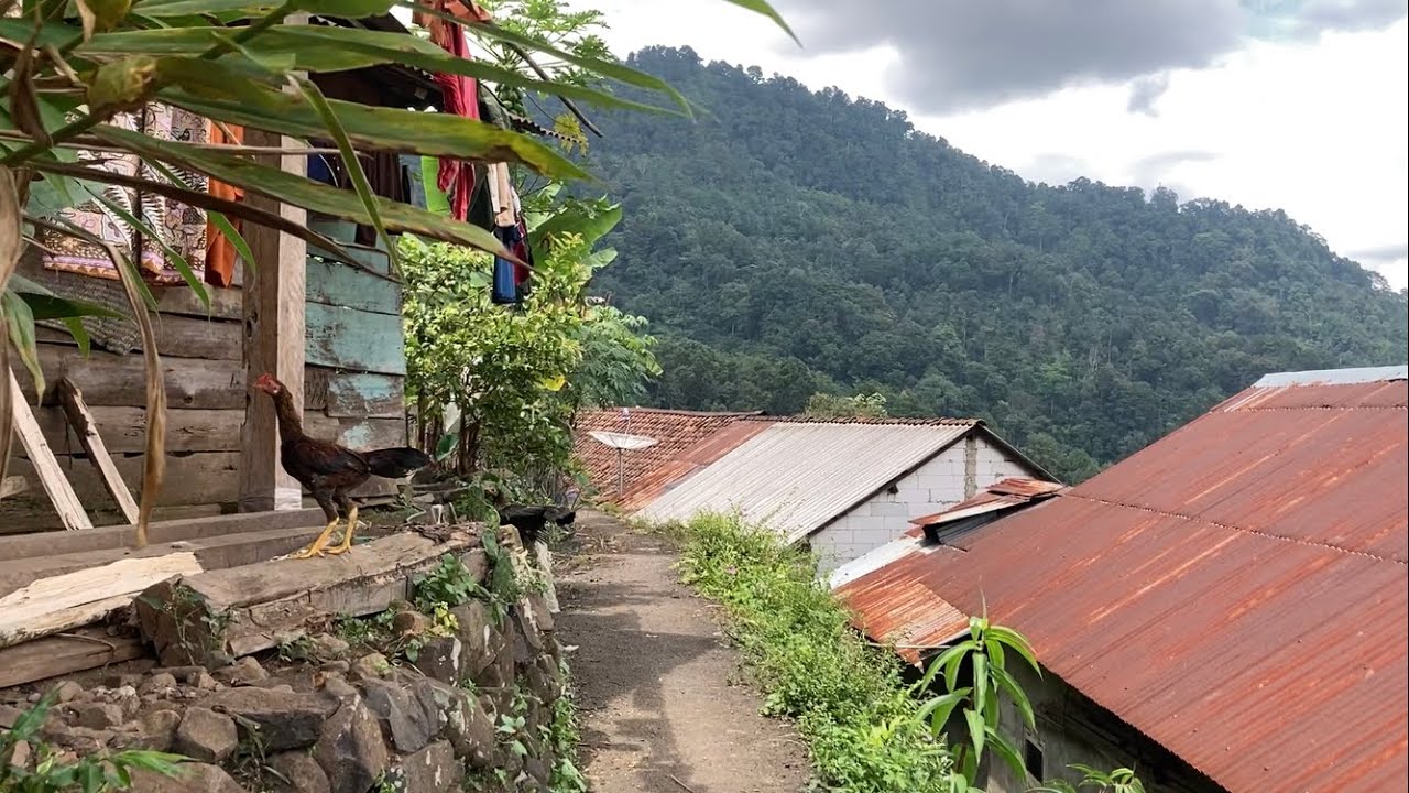 It turns out that this is the atmosphere of a rural village in Central ...