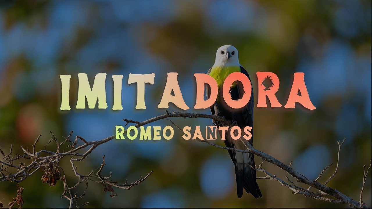 Romeo Santos - Imitadora (Lyrics/Letra)