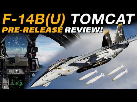 The Strike Eagle KILLER? | Heatblur F-14B(U) Tomcat Review!