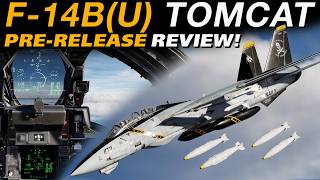 The Strike Eagle KILLER | Heatblur F-14B(U) Tomcat Review!