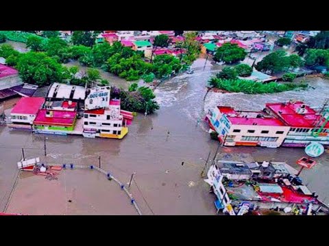 Video: Pomidorlar mo'l-ko'l, noyob va yaxshi maqsadli sug'orishga ruxsat bering