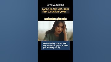 Kiểm Soát Cảm Xúc: Bí Quyết Vượt Qua Tổn Thương và Phản Ứng Bình Tĩnh