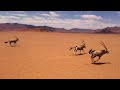 Amazing Gemsbok running in Africa videos-4k Nature (Ultra HD) | Nature's Sweet Tales.