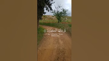 سورة الكافرون #quran #ramadan #algeria #viral #dubai #egypt #india #pakistan #russia #tajikistan