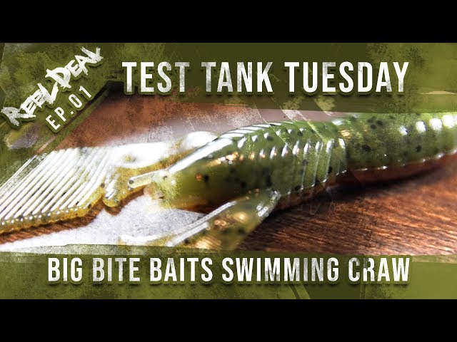 Test Tank Tuesday - EP. 01 - BIG BITE BAITS SWIMMING CRAW 