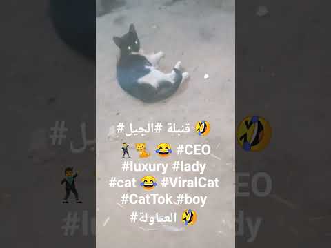 قنبلة الجيل        العتاولة
