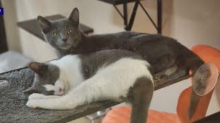 Second Chance: Blue & Duncan