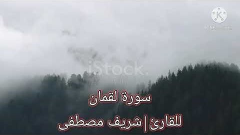 ارح مسامعك| تلاوه خاشعه للقارئ شريف مصطفى...سورة لقمان،،،