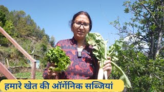 आओ दिखाऊ कौन कौन सी सब्जियां उगाई अपने खेत में ||  Organic Farming in Our Village