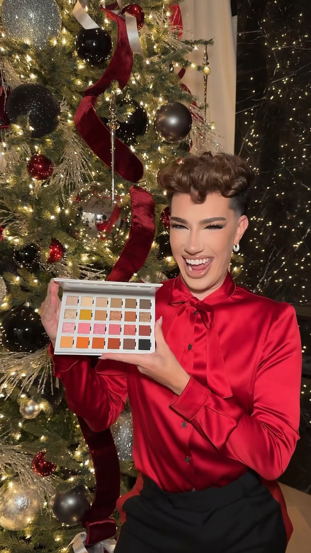 THE PERFECT CHRISTMAS GIFT ?