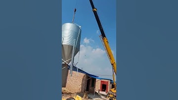 Feed Tower - Pig Farm Automatic Feeding System  #greatfarm