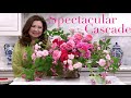 Create a Spectacular Large Cascading Floral Arrangement!