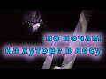 Ночь, лес, звуки... и козы