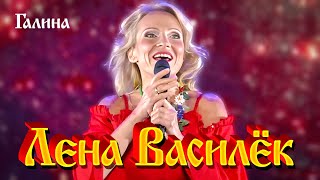 Лена Василёк - Галина