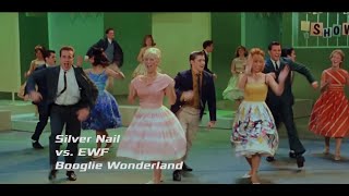 Silver Nail vs. EWF - Boogie Wonderland (Video edit) Resimi