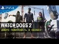 Watch Dogs 2 - ДОБРО ПОЖАЛОВАТЬ В DEDSEC [RU]
