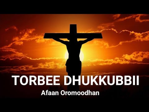 Torbee Dhukkubbii