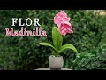 🌸 Flor Medinilla a Crochet - Paso a Paso | Tutorial Detallado 🌿