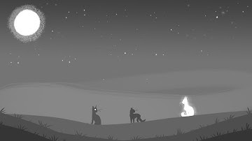 Lucid Dream | Warriors 24 Hour PMV MAP/ PART 23