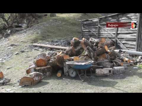 საშეშე მერქანი შატილის მოსახლეობას