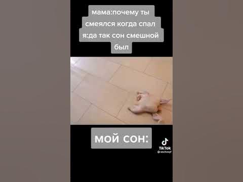 куреца - YouTube