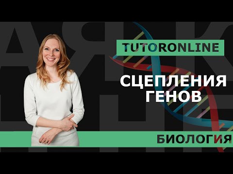 Cцепление генов I Биология