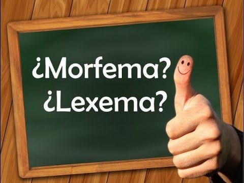 Video: ¿Segmentario es un adjetivo?