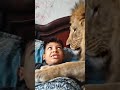 kids. #. kids. # funny. 🦁. lion
