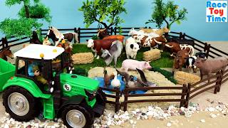 farm animals field farm video kids