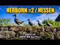 HERBORN #2 / HESSEN - 4K / ULTRA HD / UHD 30P - INTSTA 360 ACE PRO 2
