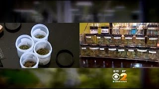 Medical Marijuana Distributors Eye NYC Locations As State Prepares To Grant Licenses