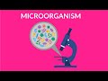 Learn about Microorganism | Microbes | Video for Kids