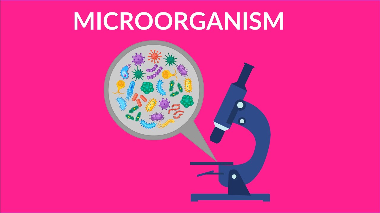 Microorganisms, Free Full-Text